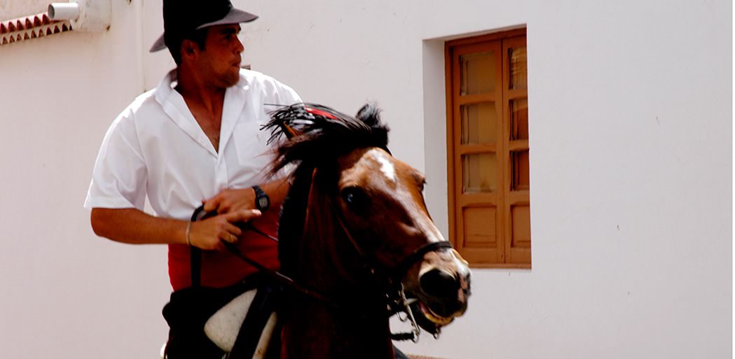 equitación festivales san miguel, Tenerife.