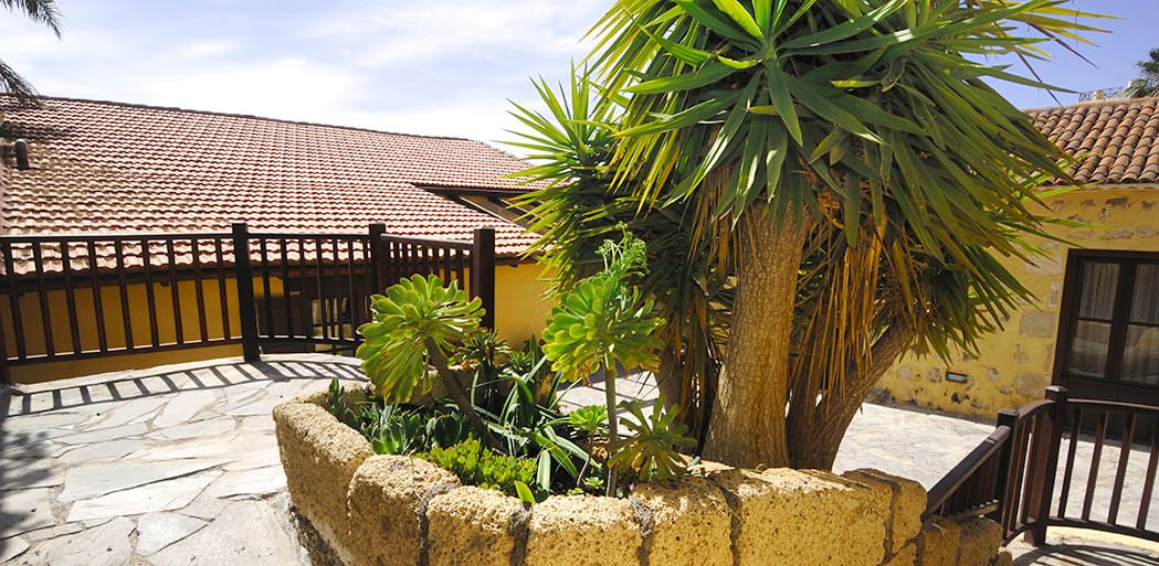 jardin cour, La Bodega Casa Rural, Maison location Tenerife