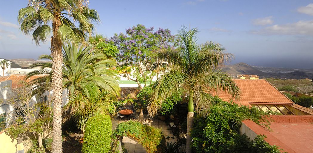 The trees and garden, La Bodega Casa Rural, Tenerife.